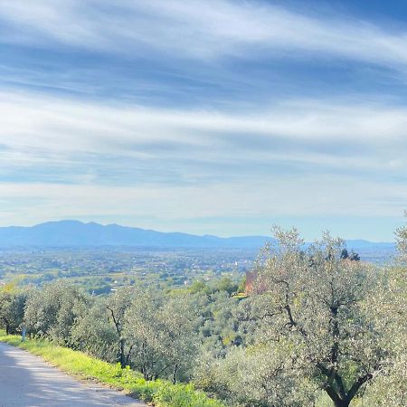 Leonardo Da Vinci - Appartamento Nel Verde Con Parcheggio E Wi-Fi Luaran gambar